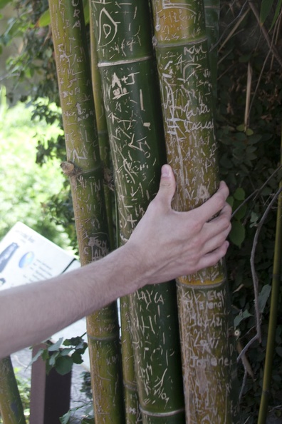 316-4881 San Diego Zoo - Carved Bamboo.jpg